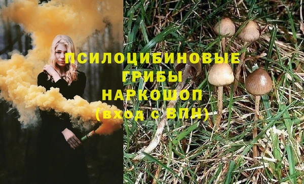 винт Алексеевка