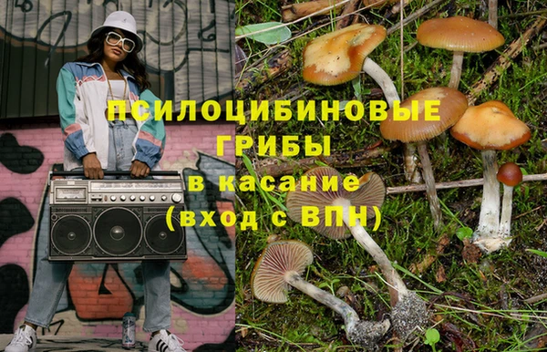 амф Алзамай