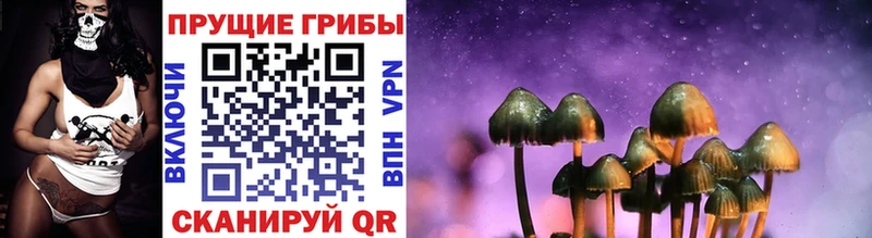 Псилоцибиновые грибы Psilocybine cubensis kraken рабочий сайт Чаплыгин